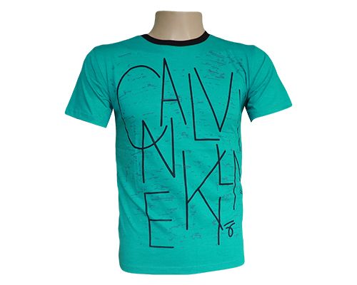 Camisa Calvin Klein Verde Água