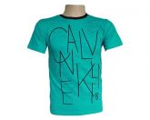 Camisa Calvin Klein Verde Água